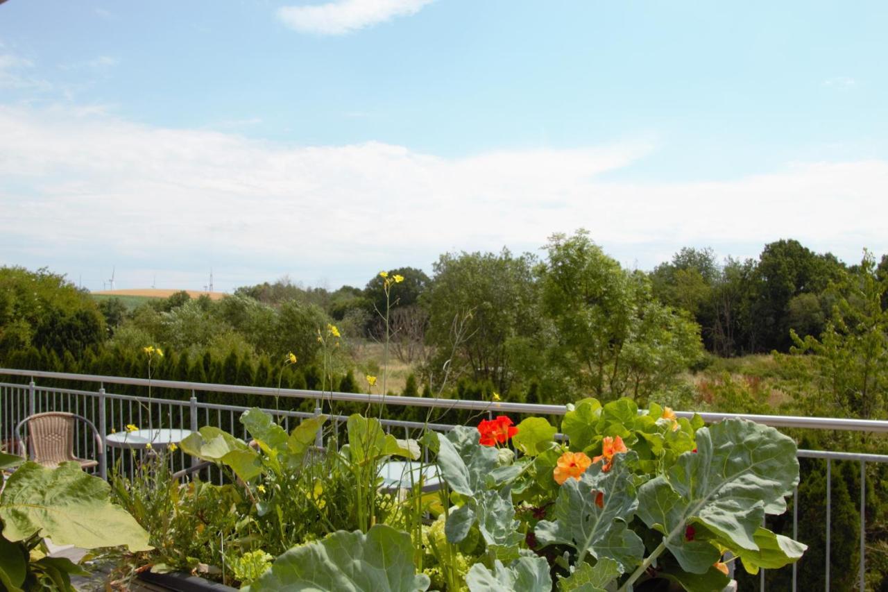 Zum Suessen Stollen Appartement Reinsfeld Buitenkant foto
